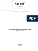 Anatomia Radiologica Do Gastrointestinal