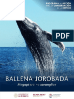 PACE Ballena Jorobada