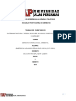 Derecho Internacional Ambiental-Jemersson A. de La Cruz Cueva Sede Andahuaylas