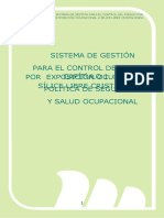 ITEM 25 Formato Sistema de Gestión SILICE