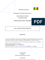 Rapport Final TXTL Artisanat SCA