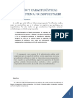 Definicion y Caracteristicas Del Sistema Presupuestario