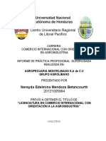 Informe PPS Nereyda Mendoza