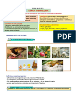 SESION de APRENDIZAJE Conozcamos La Diversidad de Seres Vivos Con Características Diferentes.