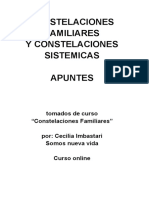 Apuntes Constelaciones Sistemicas