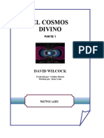 David Wilcock: El Cosmos Divino