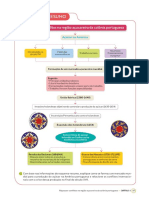 Esquema Resumo Açucar e Nordeste Holandês