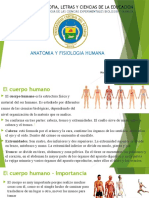 Anatomia Primera Unidad 7 AB 2021