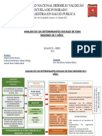 Analisis de Los Determinantes de La Salud (Eda)