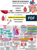 Sistema Cardiovascular