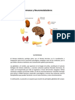 4 Hormonas y Neuromoduladores