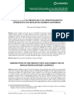 Perspectivas Na Producao e No Aproveitamento Energ