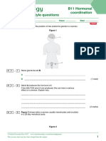 B11 Hormonal Coordination Exam-Style Questions