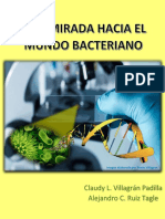 Una Mirada Al Mundo Bacteriano