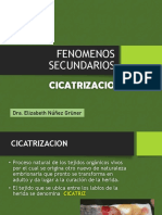 Cicatrización