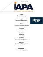 Prevención de Accidentes Laborales Tarea II