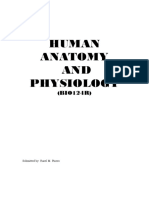 Human Anatomy