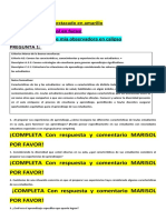 Actividad Capacitación Evaluador Par (Autoguardado)