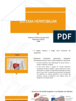 Sistema Hepatobiliar