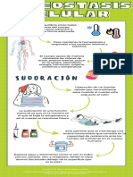 Homeostasis Celular Infografía