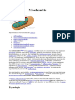 MITOCHONDRIE