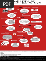 Linea Del Tiempo Uvm