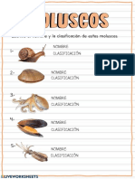 Escribe El Nombre y La Clasificación de Estos Moluscos. 1.