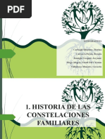 Constelaciones Familiares