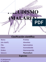 Paludismo (Malaria)