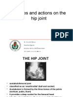 Muscles of Hip Joint