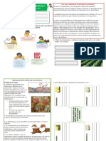 El Suelo y Su Utilidad