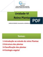 Reino Plantae