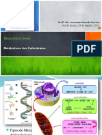 Aula 3.3 - Via Dos Carboidratos