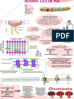 Membrana Celular