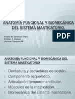 Anatomia Funcional Del Sistema Rio