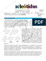 NUCLEOTIDOS