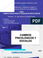 Cambios Psicológicos y Sociales Del Adulto Mayor