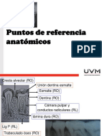 Guia para Estudiar Puntos Anatomicos de Radiologia