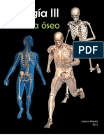 Biología III SISTEMA ÓSEO