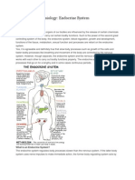 ENDOCRINE SYSTEM - Anatomy and Physiology