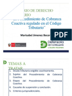 Cobranza Coactiva