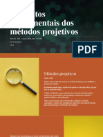 Conceitos Fundamentais Dos Testes Projetivos