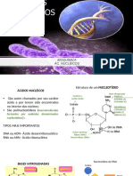 Bioquimica-Ácidos Nucléicos