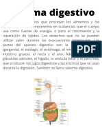 Informacción General-Sistema Digestivo