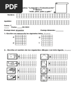 1°básico Nido, Pino y Pato, Gato