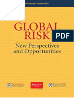 Global Risk: New Perspectives and Opportunities