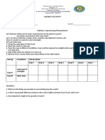 Activity Science 9 Photosynthesis