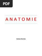 Anatomie Biologie