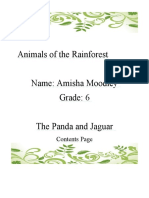 Animals of The Rainforest