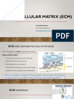 Extracellular Matrix (Ecm) : Dr. Naveen Kumar